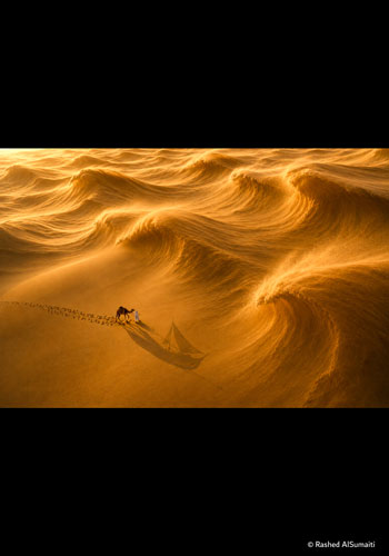 PHOTOGRAPHIA OF THE WEEK