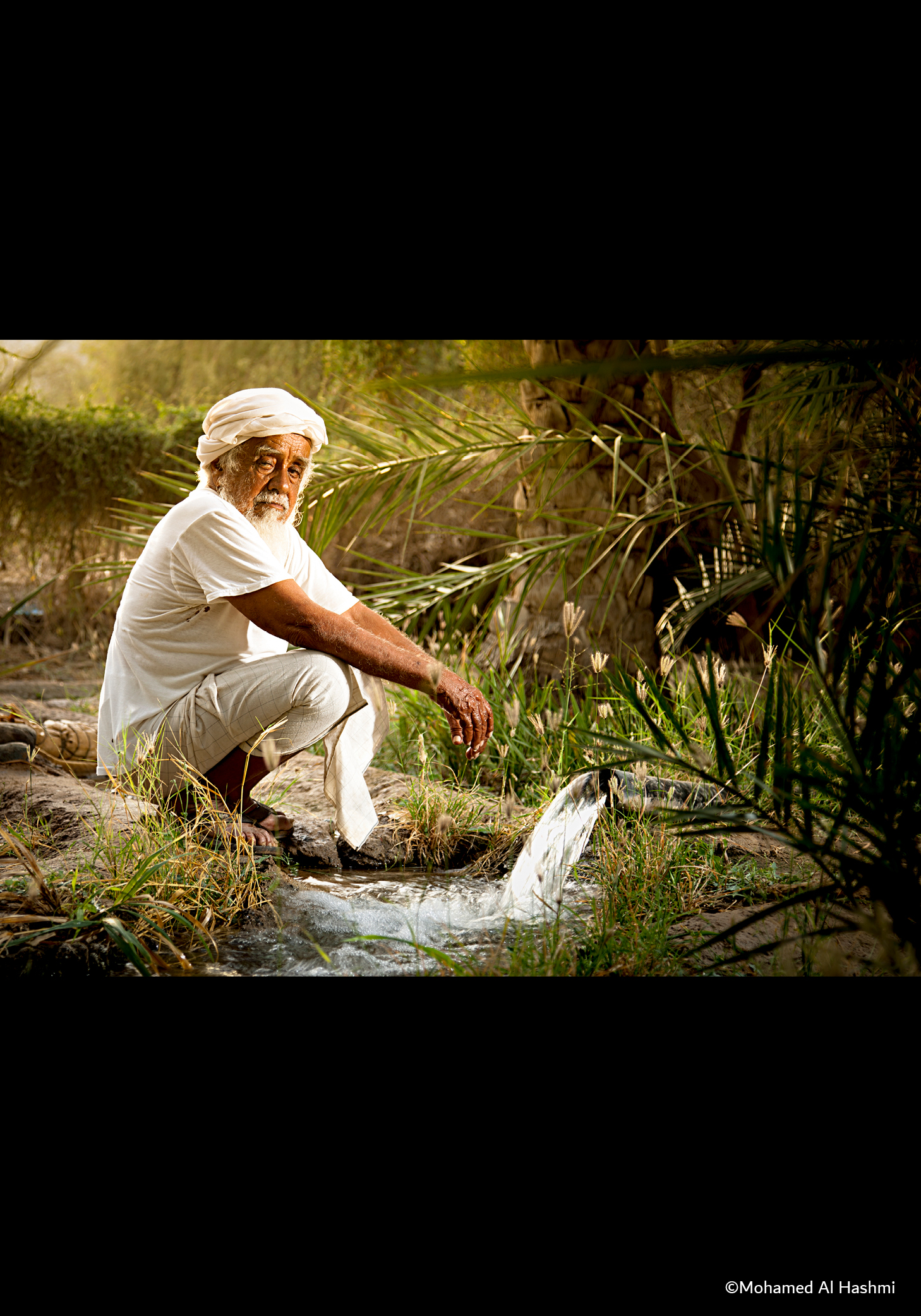 PHOTOGRAPHIA OF THE WEEK