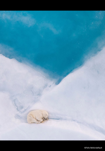 PHOTOGRAPHIA OF THE WEEK