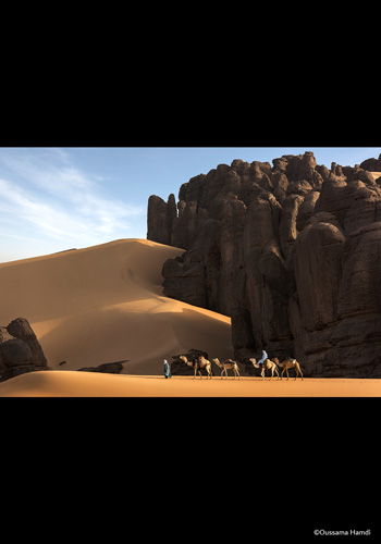 PHOTOGRAPHIA OF THE WEEK