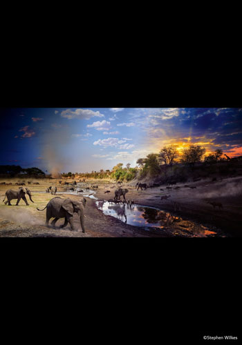 PHOTOGRAPHIA OF THE WEEK