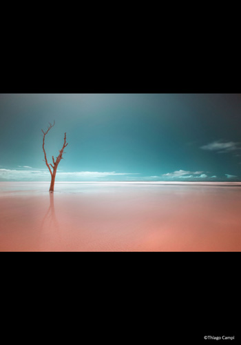 PHOTOGRAPHIA OF THE WEEK