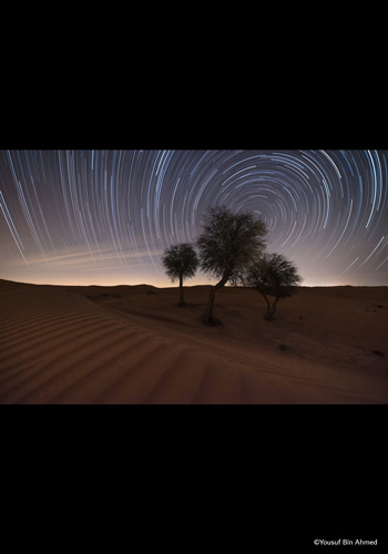 PHOTOGRAPHIA OF THE WEEK