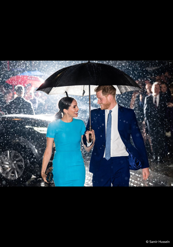Picture of the Week