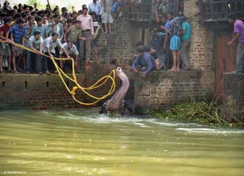 Picture of the Week