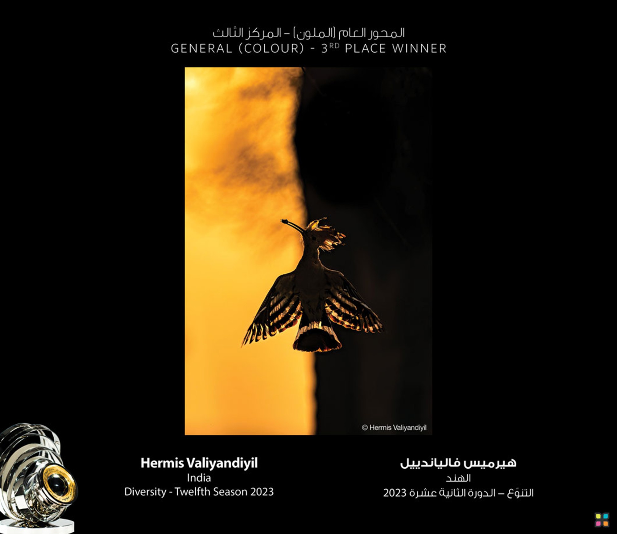 Dawn's Whispers: Graceful Hoopoe Silhouette at Sunrise