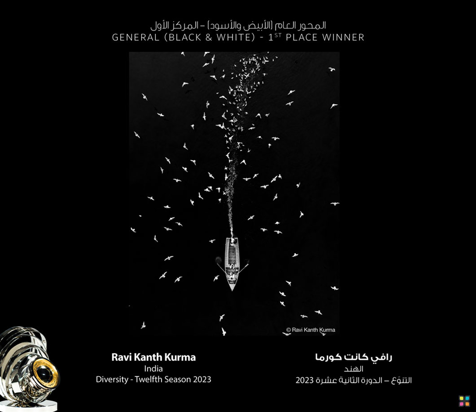 Seagulls dancing around the boat