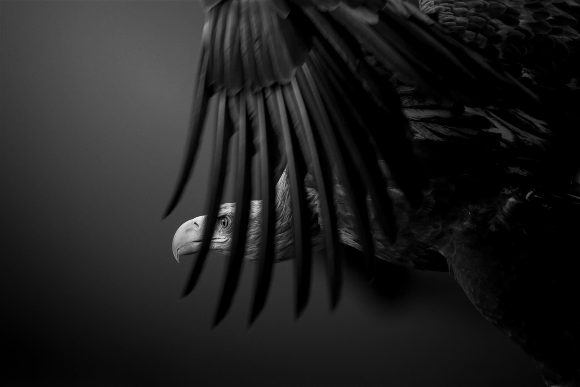 The legend of heaven