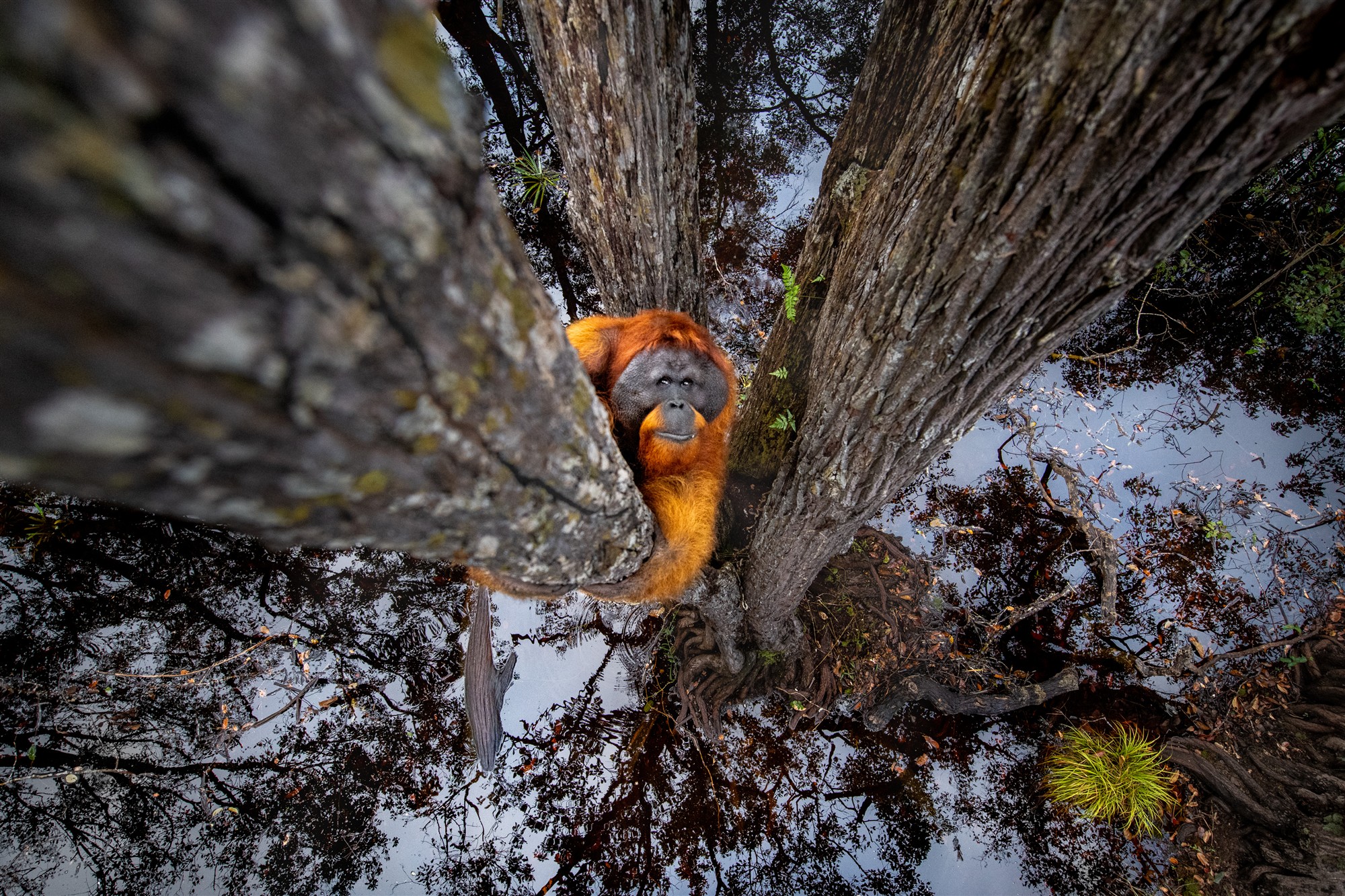 How did you get there