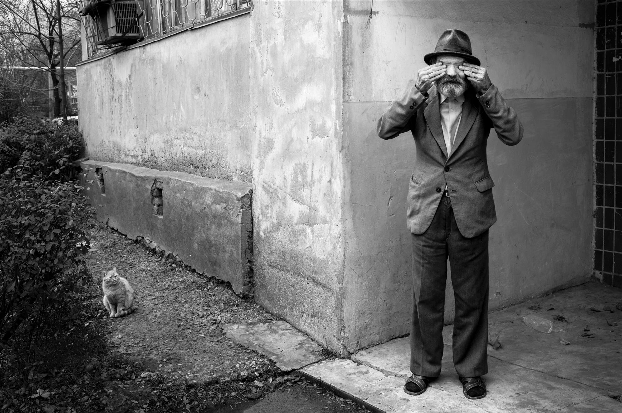 The old man and the cat