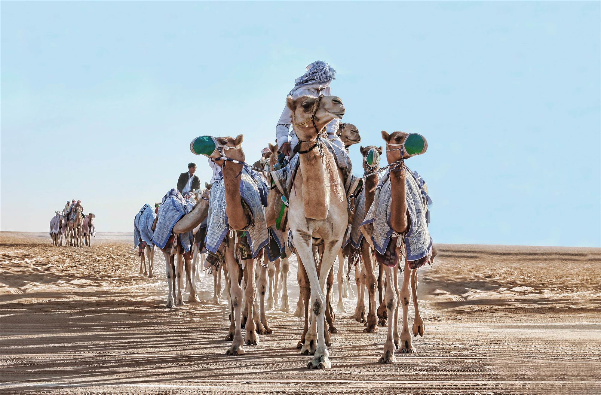 سفينه الصحراء