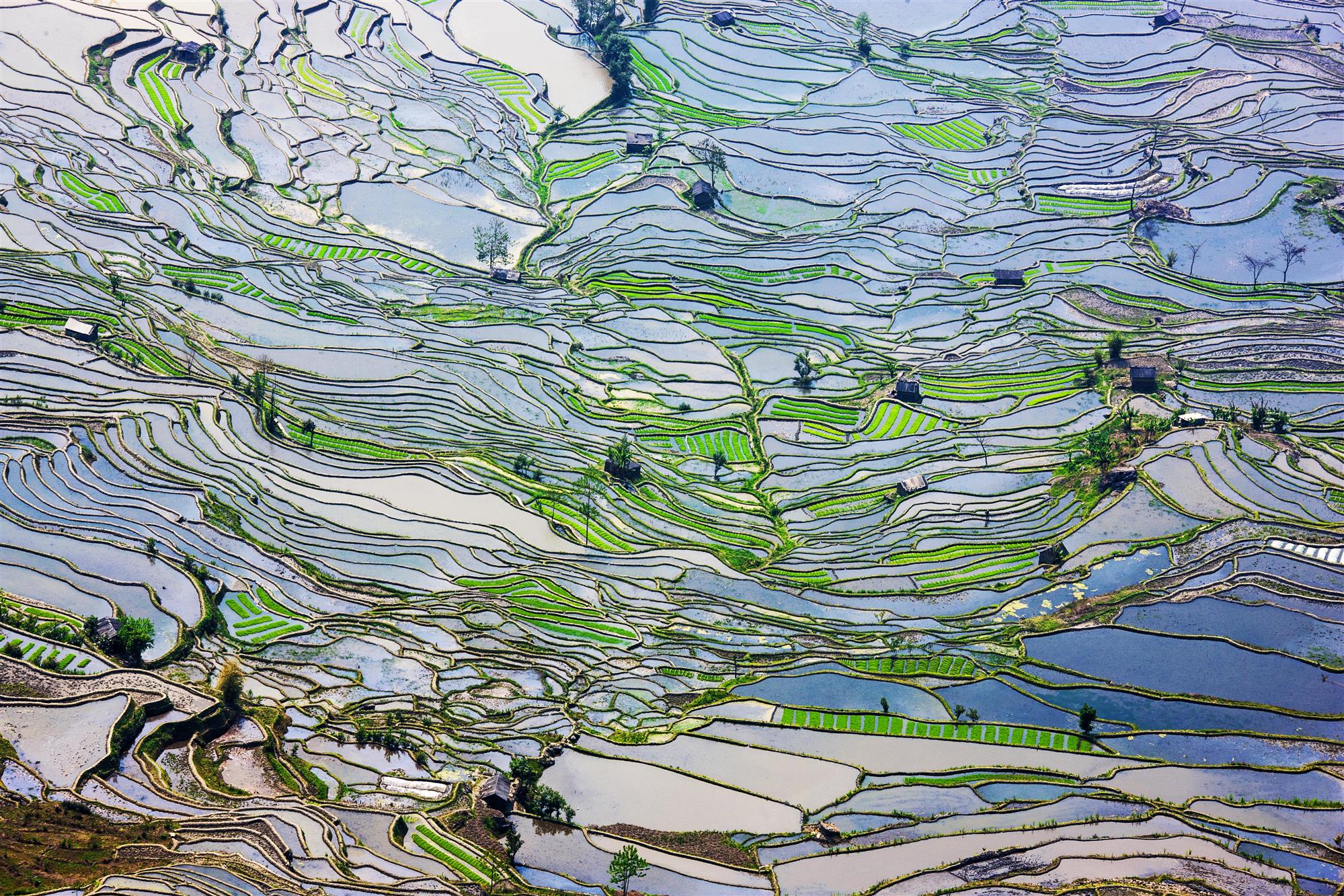 The veins of the earth