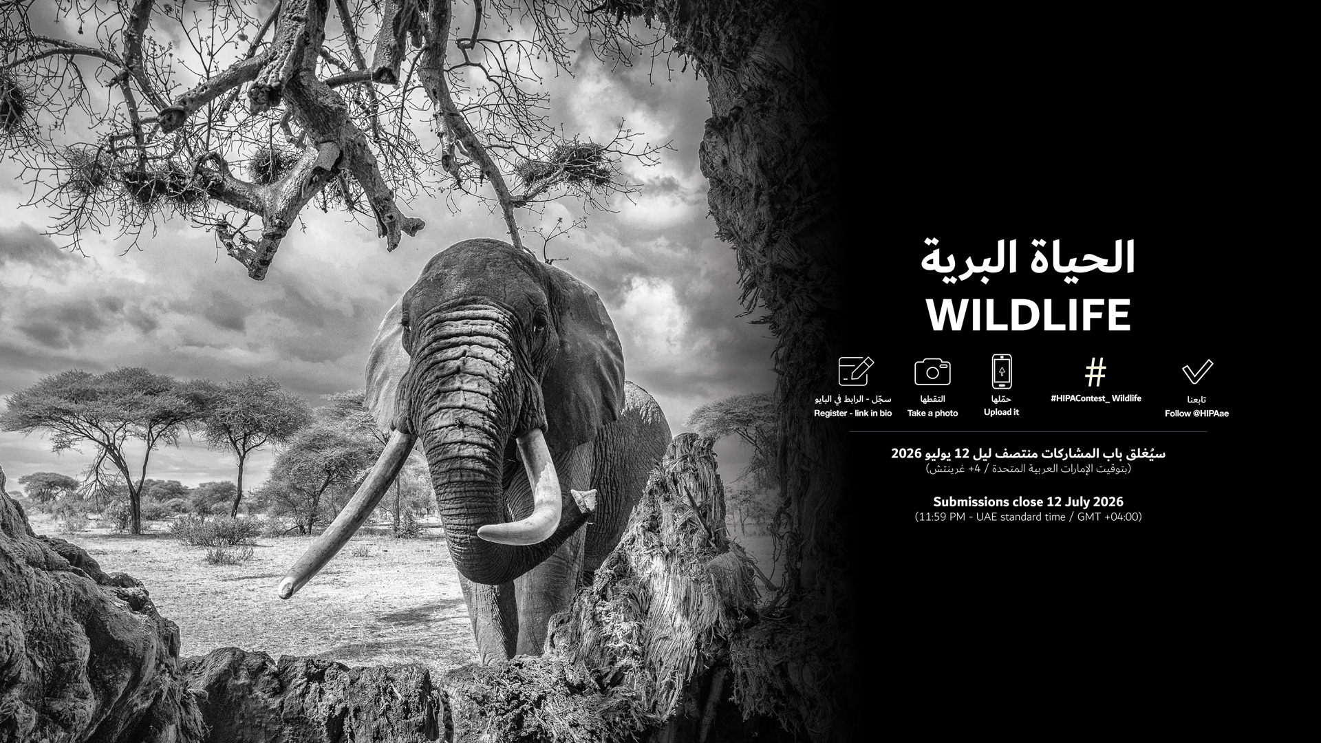 HIPAContest_Wildlife