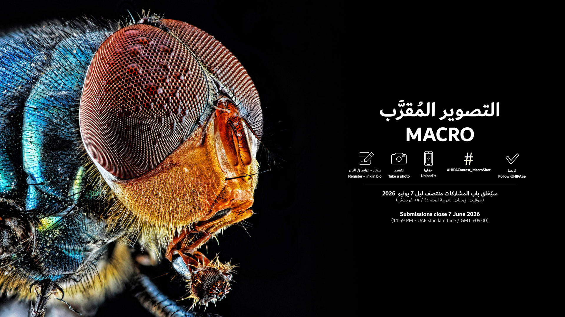 HIPAContest_MacroShot